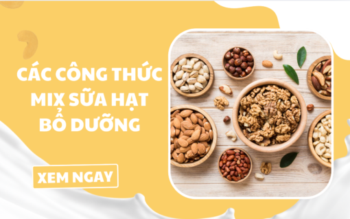 Các Công Thức Mix Sữa Hạt Bổ Dưỡng, Dễ Làm Tại Nhà