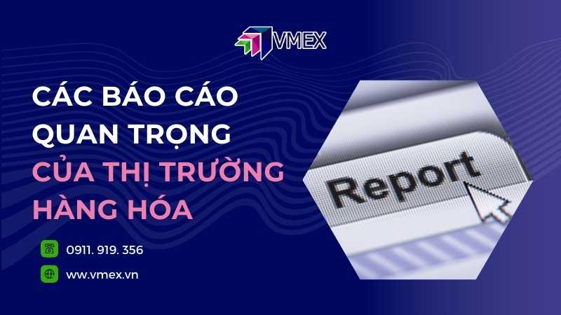 Tổng hợp báo cáo thị trường hàng hóa