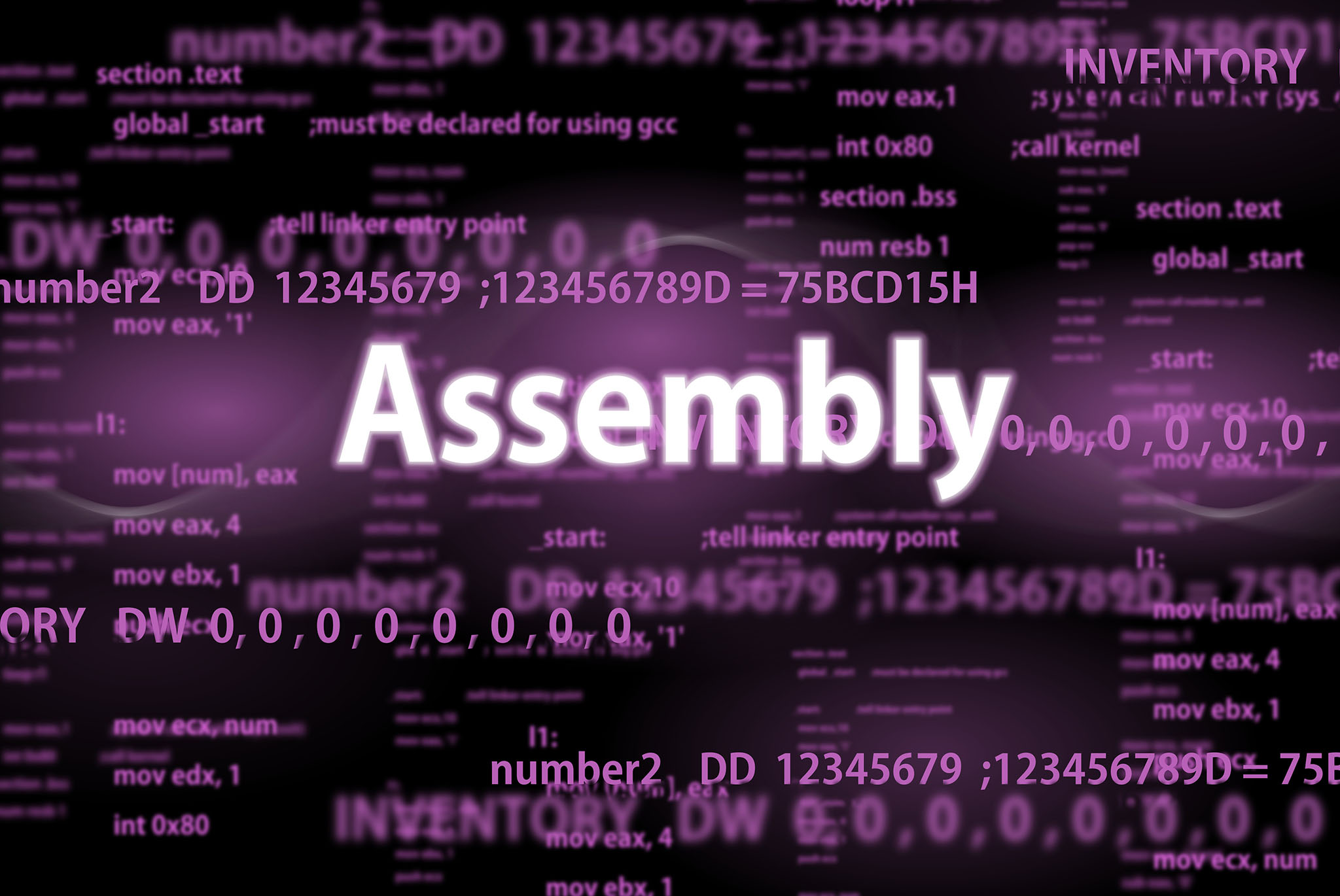 deepseek-assembly.jpg