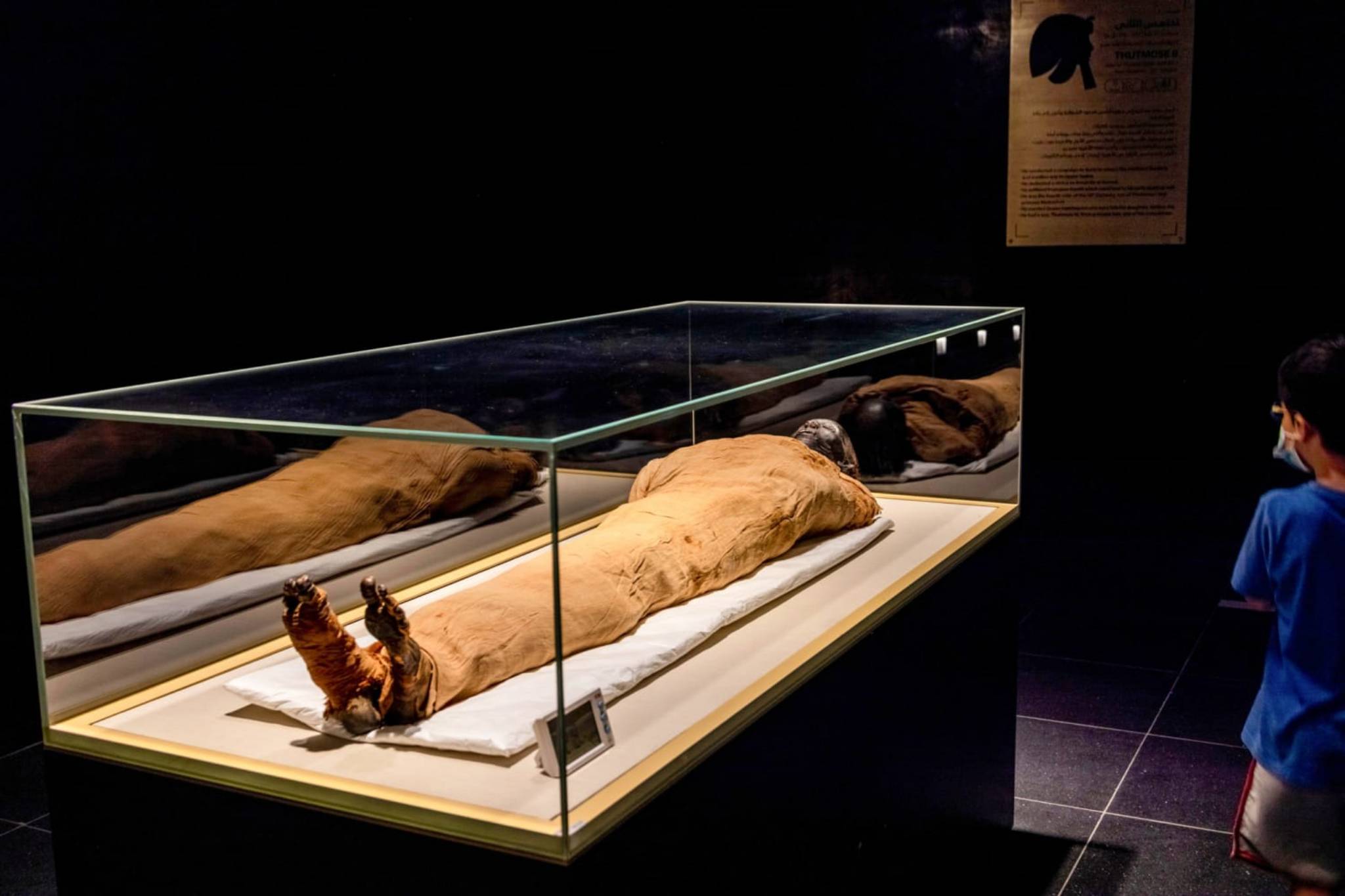 Thutmose II mummy.jpg