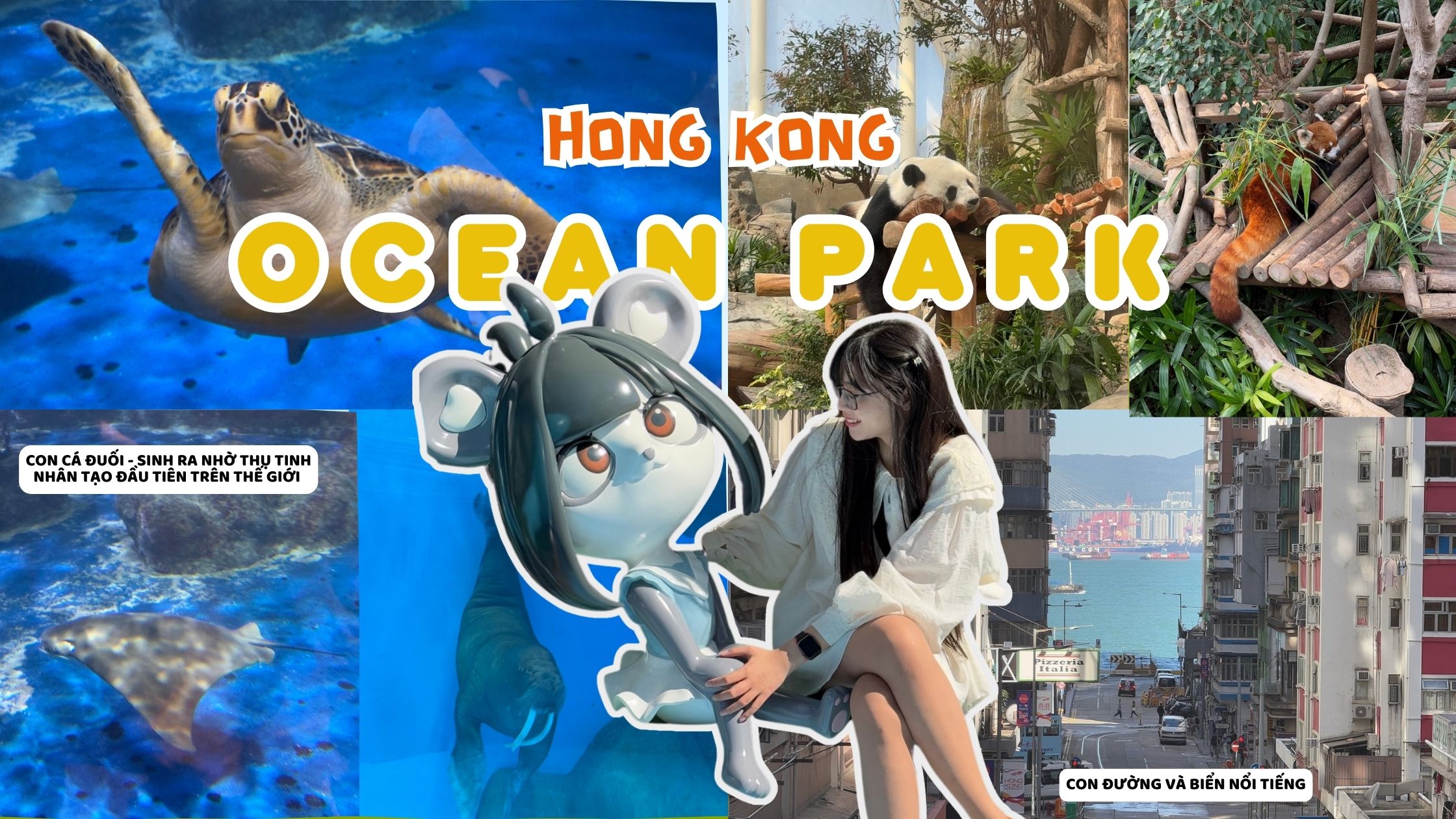 Một ngày ở đảo Hong Kong: ăn điểm tâm, chụp ảnh con đường Kennedy Town, chơi ở Ocean Park