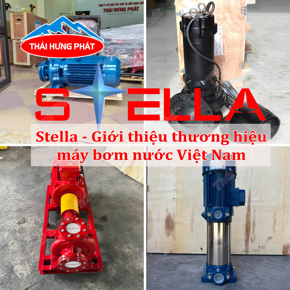 Máy bơm nước Stella – Giải pháp bơm nước chất lượng cho mọi công trình